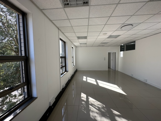 To Let commercial Property for Rent in Rondebosch Western Cape